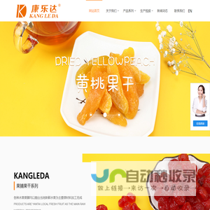 烟台罐头_果蔬脆_果脯加工厂-烟台康乐达食品有限公司